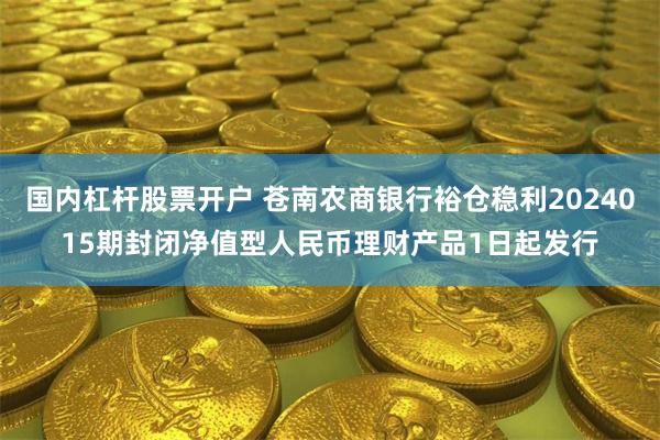 国内杠杆股票开户 苍南农商银行裕仓稳利2024015期封