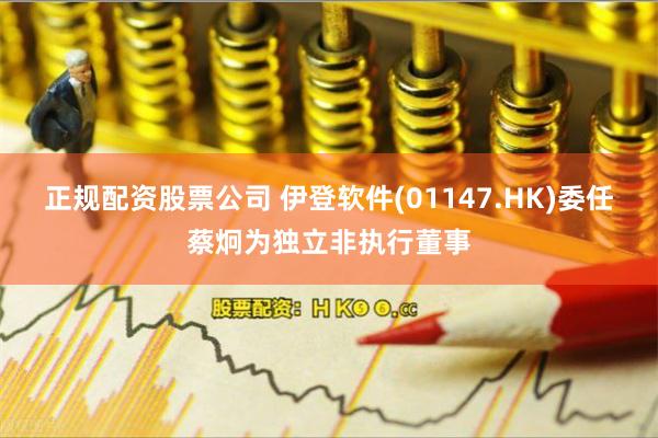 正规配资股票公司 伊登软件(01147.HK)委任蔡炯为独立