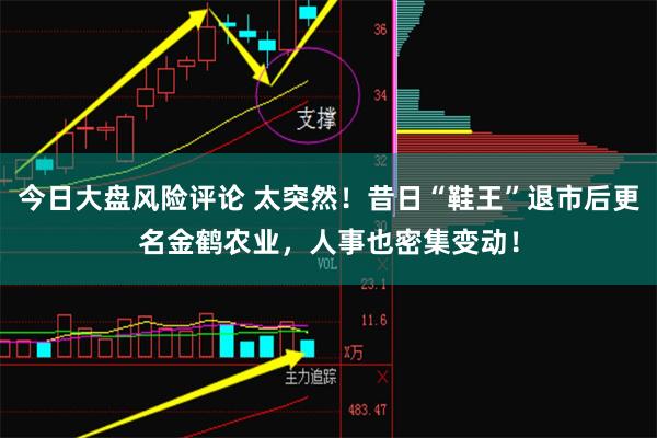 今日大盘风险评论 太突然！昔日“鞋王”退市后更名金鹤农业，人