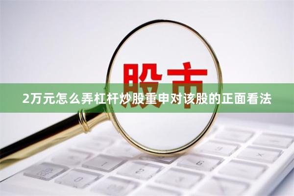 2万元怎么弄杠杆炒股重申对该股的正面看法
