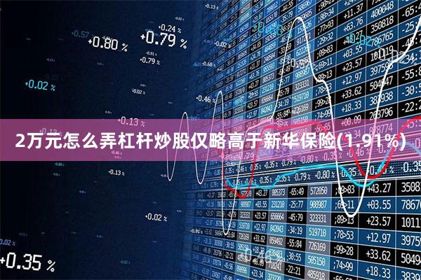 2万元怎么弄杠杆炒股仅略高于新华保险(1.91%)