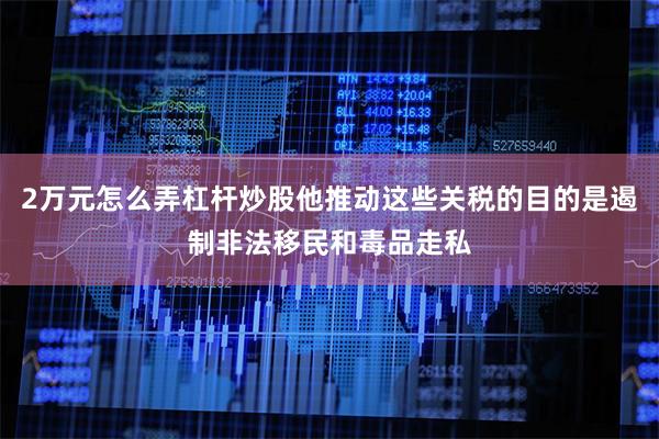 2万元怎么弄杠杆炒股他推动这些关税的目的是遏制非法移民和毒品走私