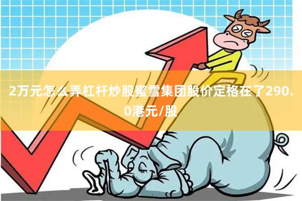 2万元怎么弄杠杆炒股蜜雪集团股价定格在了290.0港元/股