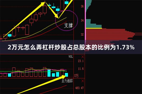 2万元怎么弄杠杆炒股占总股本的比例为1.73%