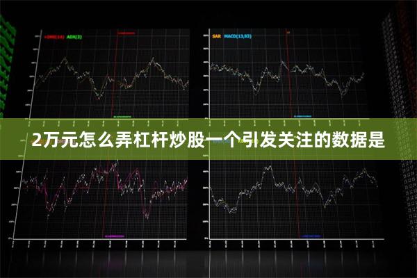 2万元怎么弄杠杆炒股　　一个引发关注的数据是