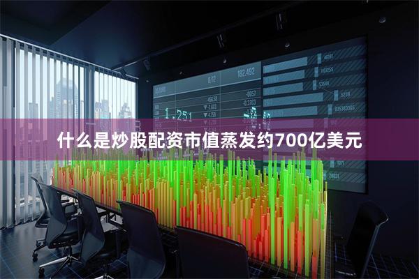 什么是炒股配资市值蒸发约700亿美元