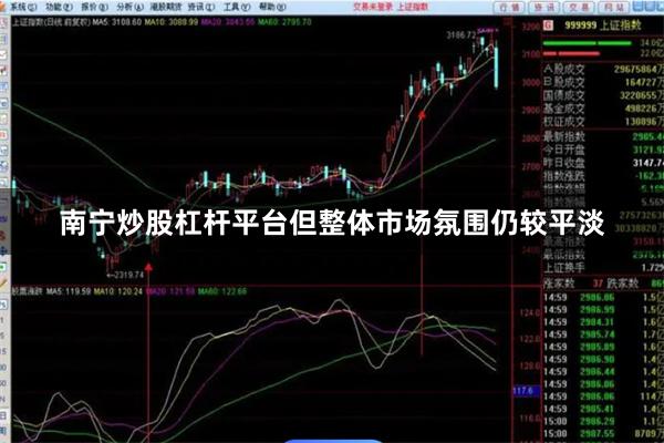 南宁炒股杠杆平台但整体市场氛围仍较平淡