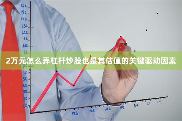 2万元怎么弄杠杆炒股也是其估值的关键驱动因素