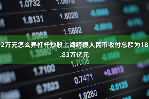 2万元怎么弄杠杆炒股上海跨境人民币收付总额为18.83万亿元