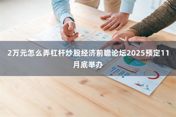 2万元怎么弄杠杆炒股经济前瞻论坛2025预定11月底举办