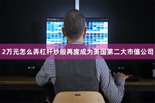 2万元怎么弄杠杆炒股再度成为美国第二大市值公司