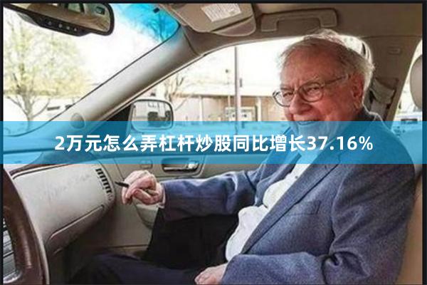 2万元怎么弄杠杆炒股同比增长37.16%