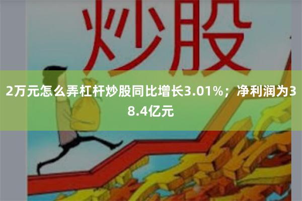 2万元怎么弄杠杆炒股同比增长3.01%；净利润为38.4亿元